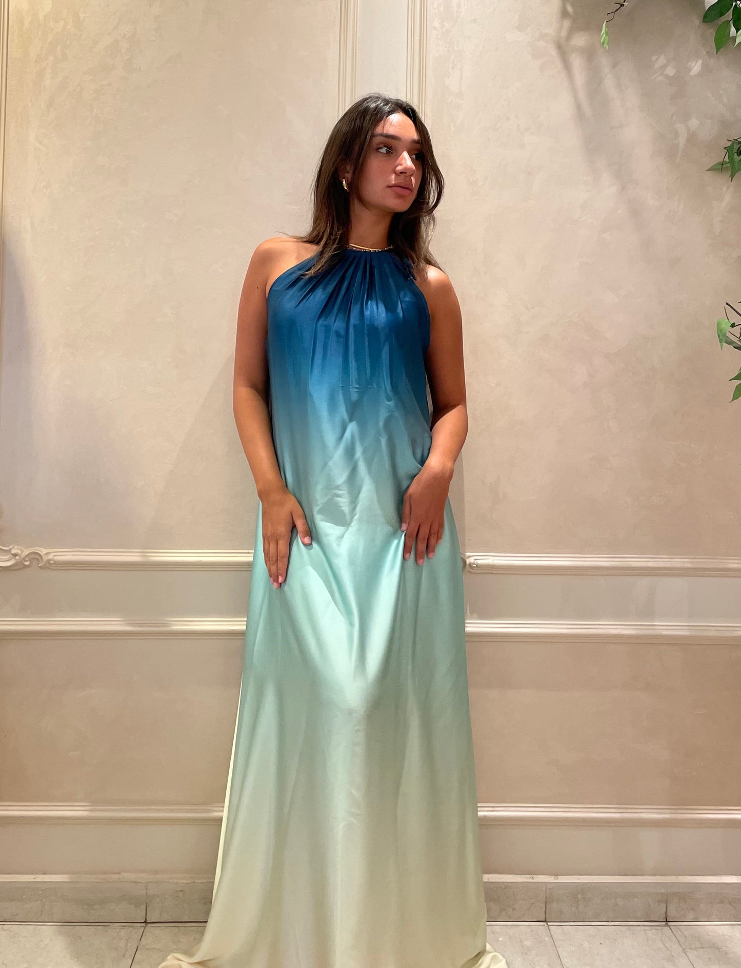 Ombré Satin Dress